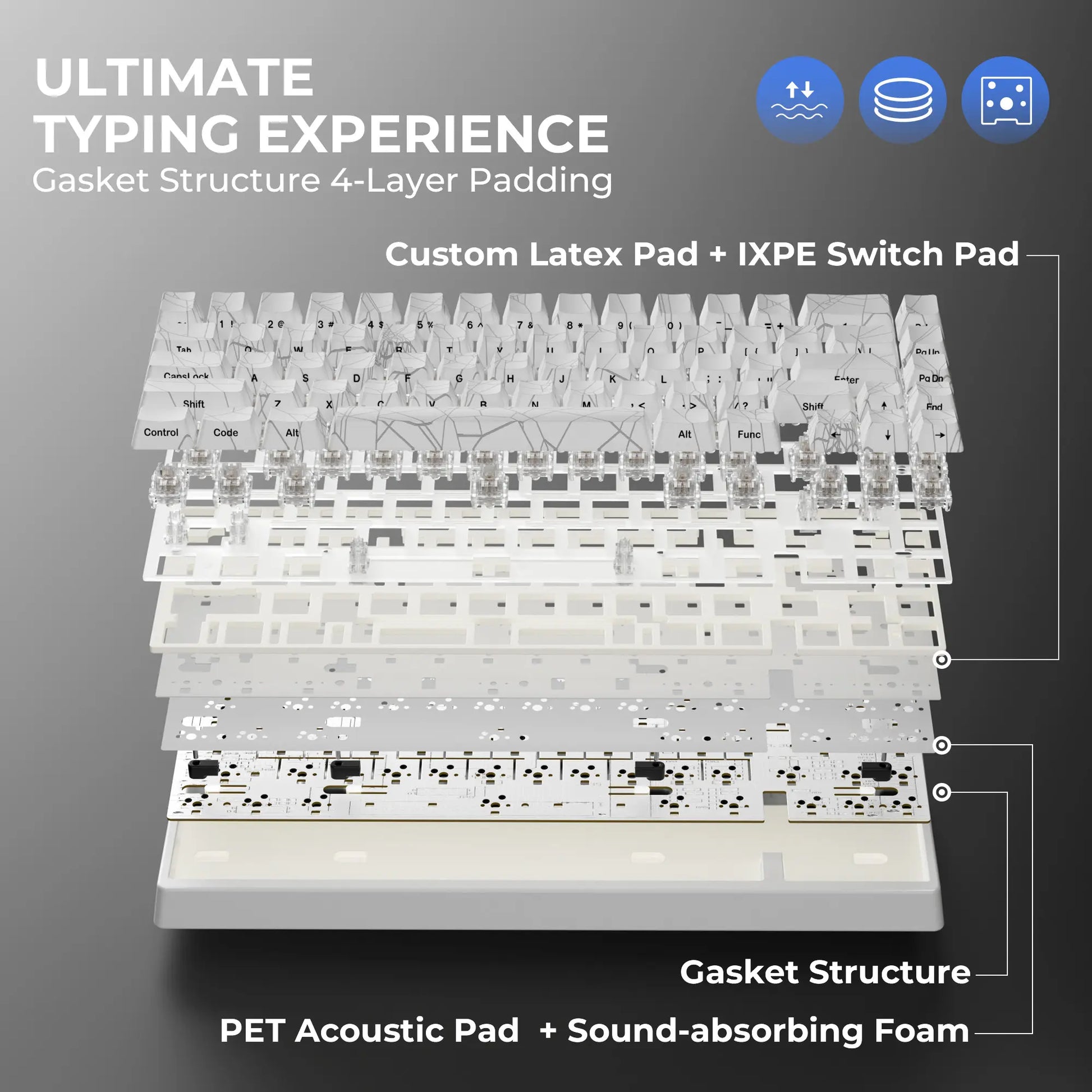 XVX M67 Tri-Mode Mechanical Keyboard with Spider Web IMD-Tech Keycaps, QMK/VIA Gasket Design, RGB Hot-Swappable, Bluetooth Connectivity