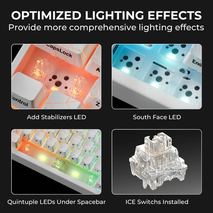 XVX M67 Tri-Mode Mechanical Keyboard with Spider Web IMD-Tech Keycaps, QMK/VIA Gasket Design, RGB Hot-Swappable, Bluetooth Connectivity