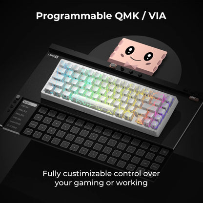 XVX M67 Tri-Mode Mechanical Keyboard with Spider Web IMD-Tech Keycaps, QMK/VIA Gasket Design, RGB Hot-Swappable, Bluetooth Connectivity